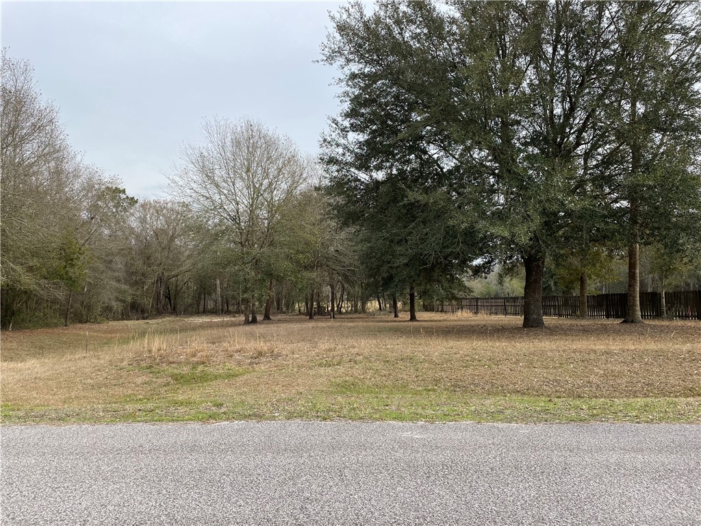0 Southwest 80th Place Hampton, FL 32044 - Photo 4 of 12 Gallery Image 4