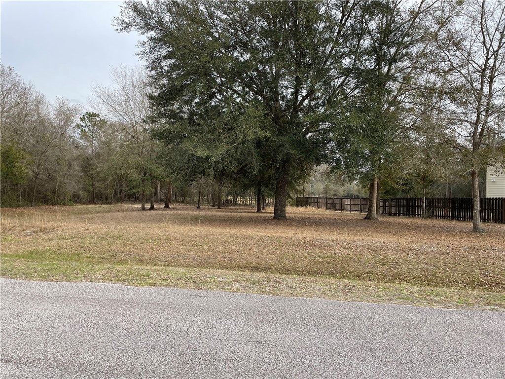 0 Southwest 80th Place Hampton, FL 32044 - Photo 5 of 12 Gallery Image 5