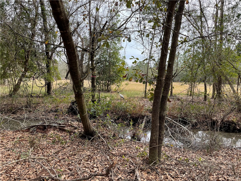 0 Southwest 80th Place Hampton, FL 32044 - Photo 6 of 12 Gallery Image 6