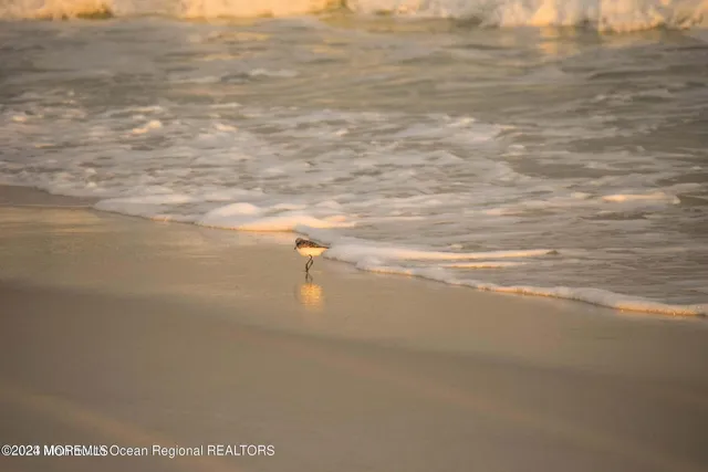 $849,000 | 1912 Ocean Boulevard, Seaside Park, NJ 08752