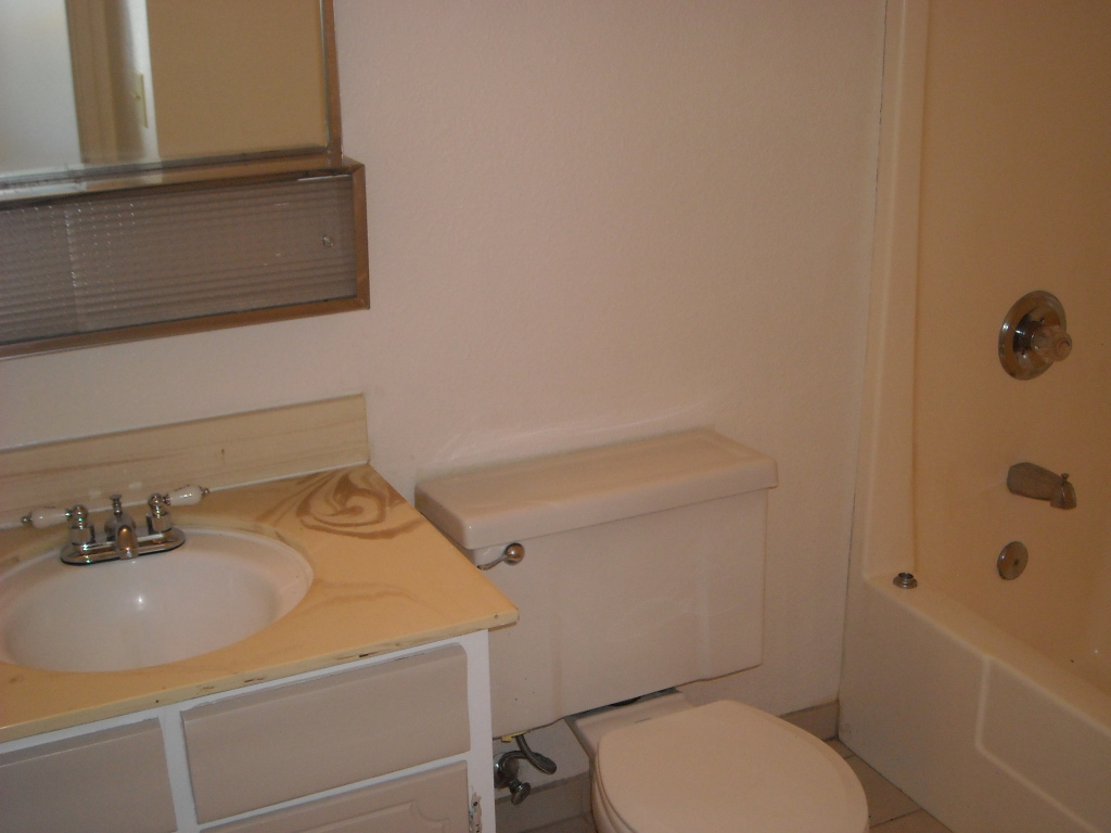 4538 West Hatcher Road Glendale, AZ 85302 - Photo 6 of 9 Guest Bathroom