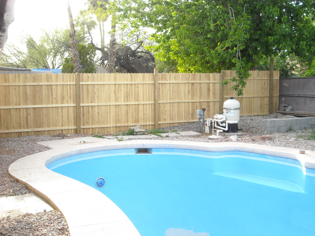 4538 West Hatcher Road Glendale, AZ 85302 - Photo 8 of 9 Pool and New Fencing