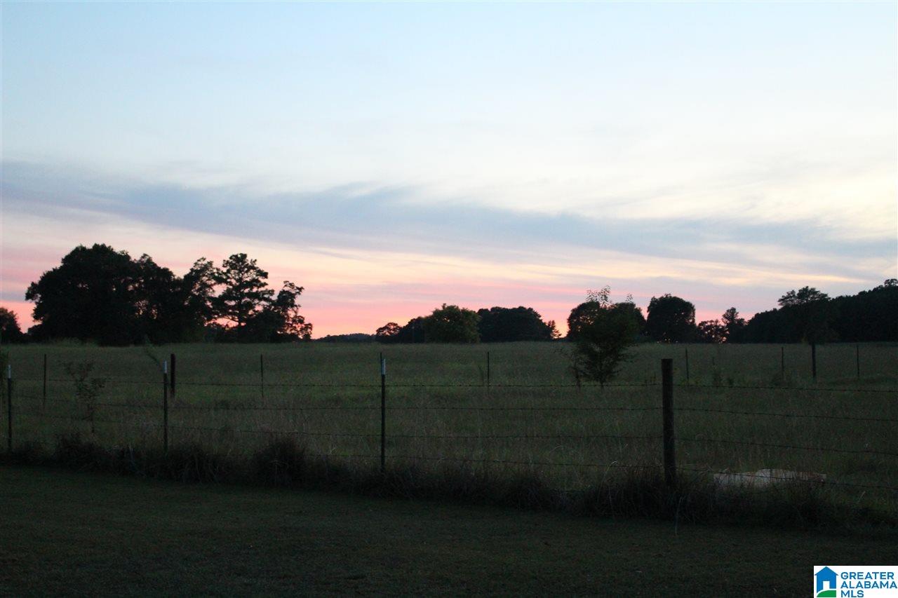 203 Camp Creek Road Vincent, AL 35178 - Photo 31 of 31