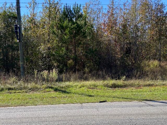 10047 North Road North, SC 29112 - Photo 2 of 5 IMG_6029