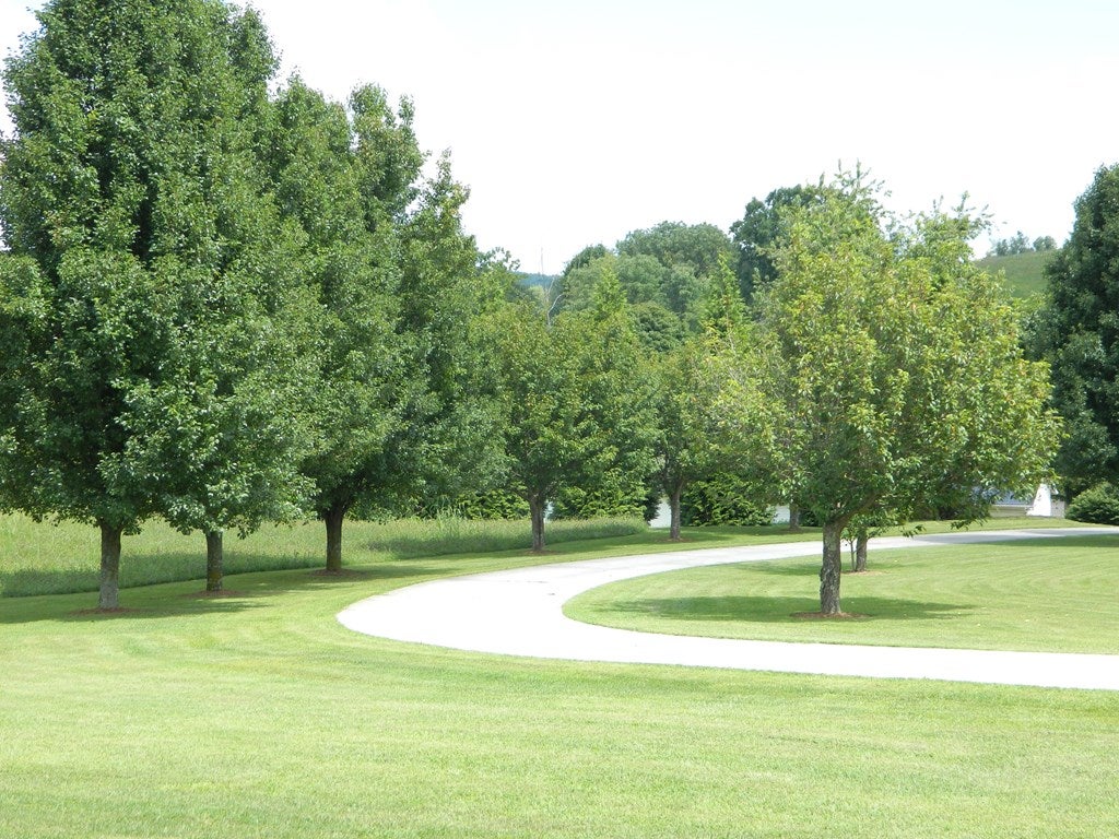 946 South Fork Road Marion, VA 24354 - Photo 42 of 46 Gallery Image 42