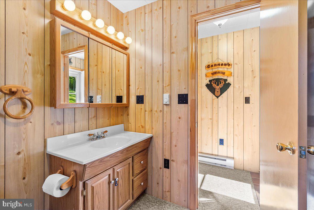 663 Bear Woods Road Mount Storm, WV 26739 - Photo 18 of 73 Charming wood-paneled bathroom retreat.