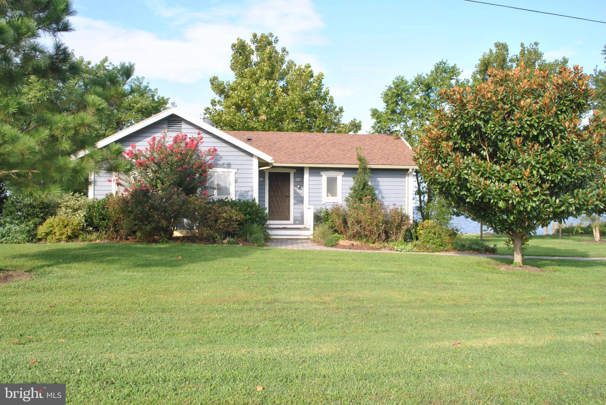 4910 Huntingfield Road Rock Hall, MD 21661 - Photo 23 of 29 Lovely landscaping and mature trees
