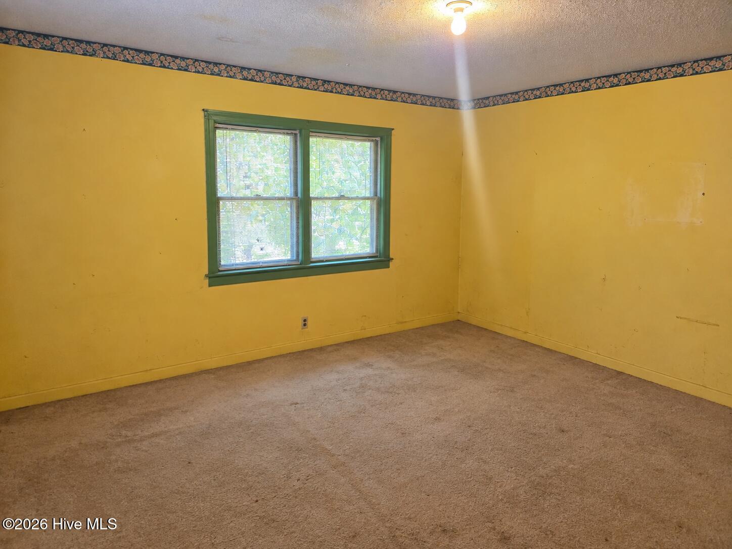3223 Chandler Road Vanceboro, NC 28586 - Photo 16 of 27 ChatGPT Image Sep 10, 2026, 06_34_19 PM Primary bedroom