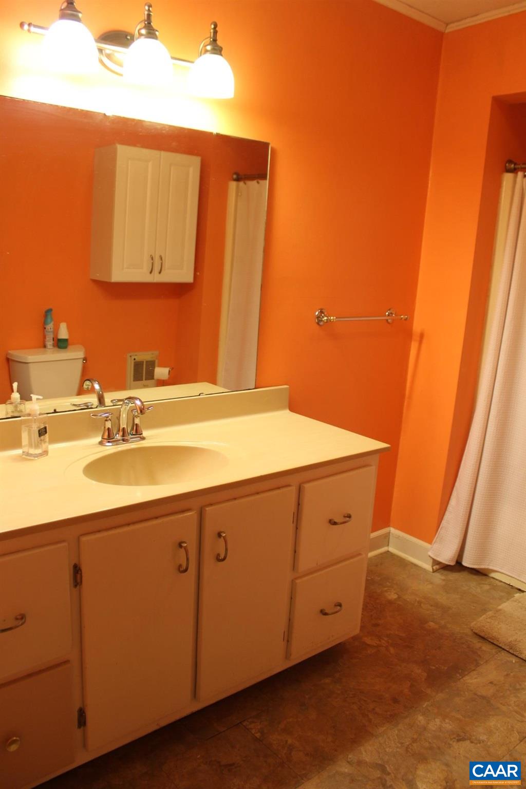 3456 South Constitution Route Dillwyn, VA 23936 - Photo 27 of 38 a bathroom with a sink and a mirror