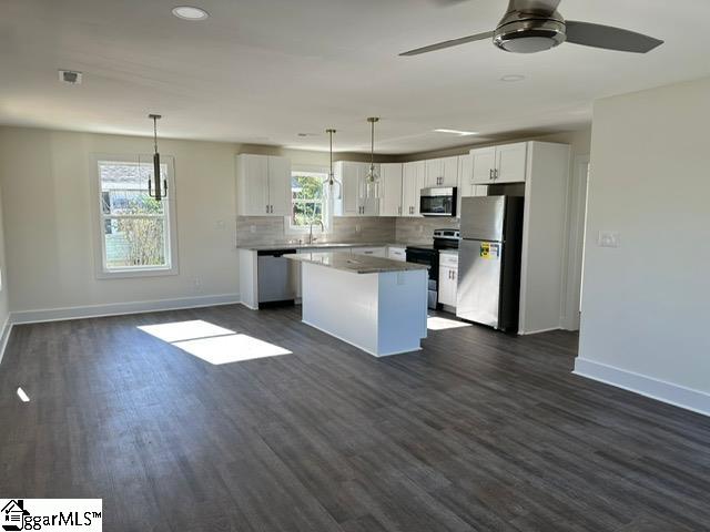 141 Baileyview Street Greer, SC 29651 - Photo 3 of 13