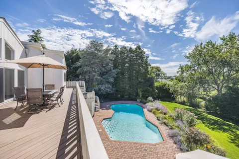 a view of a yard with plants and a bench