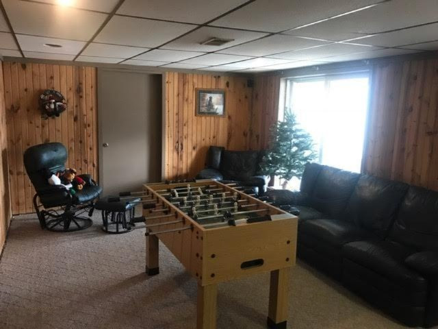 14461 Buchanan Road Stanwood, MI 49346 - Photo 15 of 23 Rec Rm LL