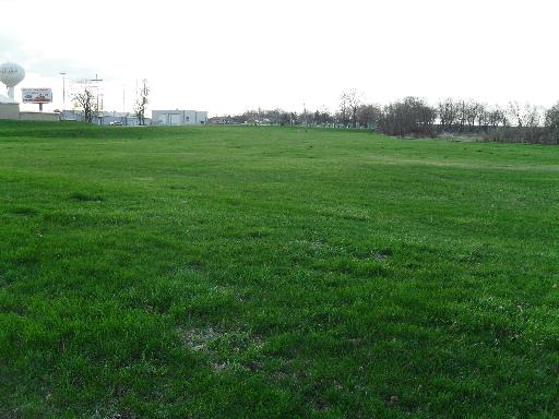 a view of a grassy field