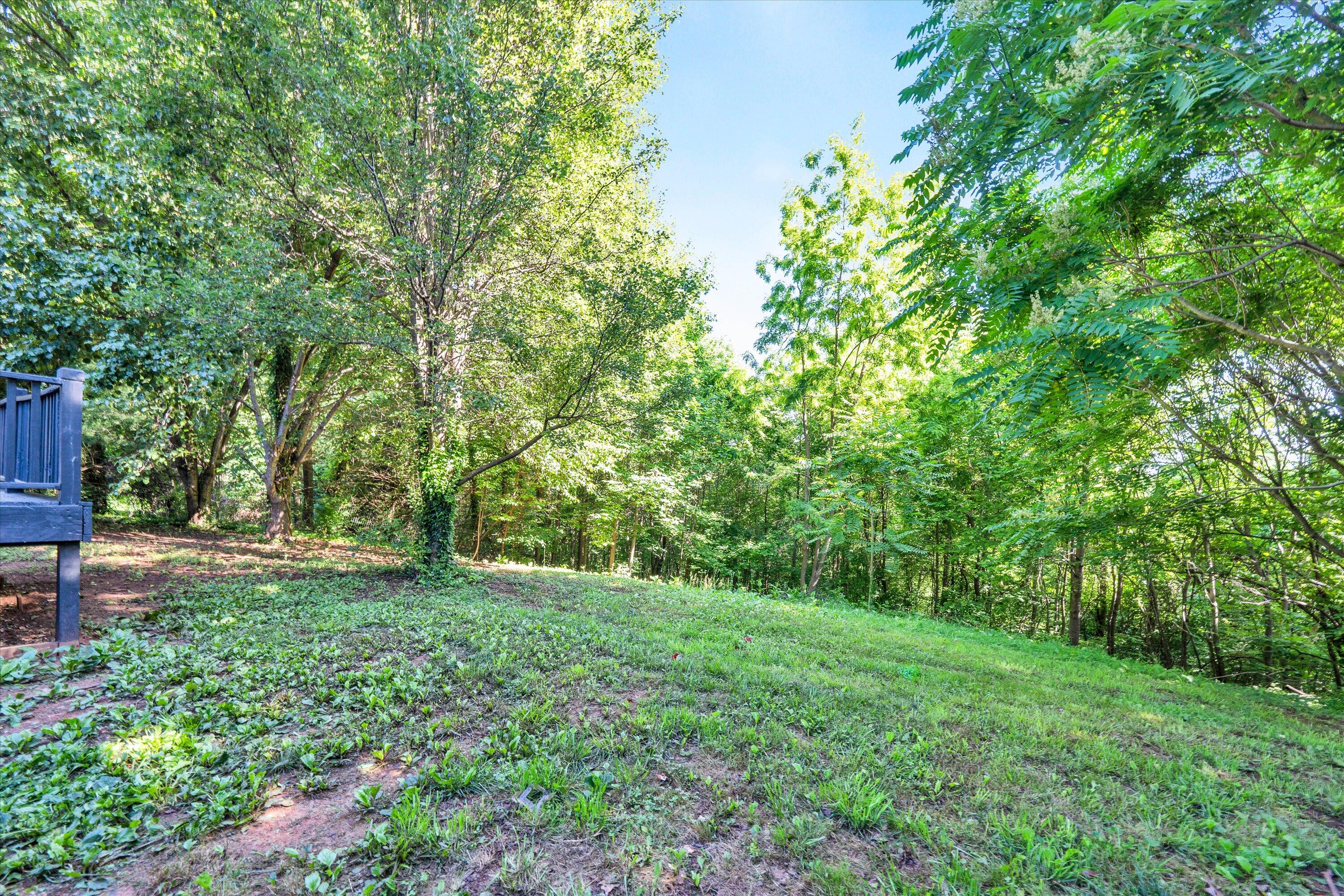 799 Powells Store Road Glade Hill, VA 24092 - Photo 26 of 30 26-DSC00088