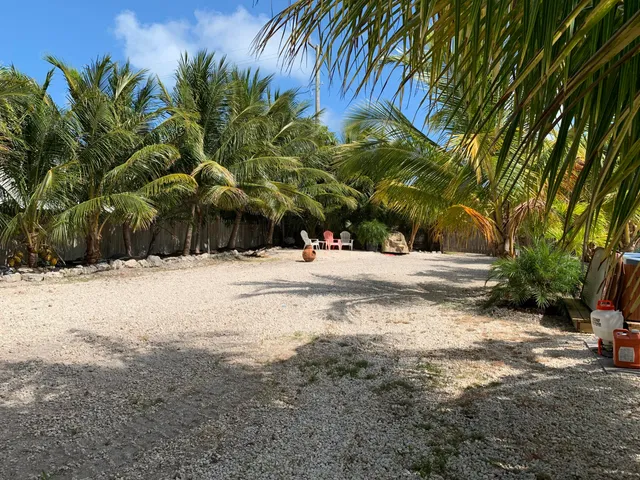 a view of road with large trees