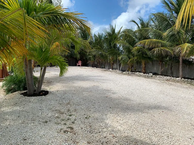 a view of a yard with a plants