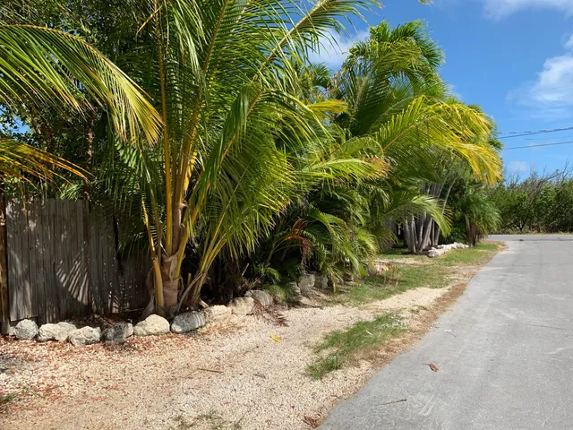 a view of a yard covered with snow on the road