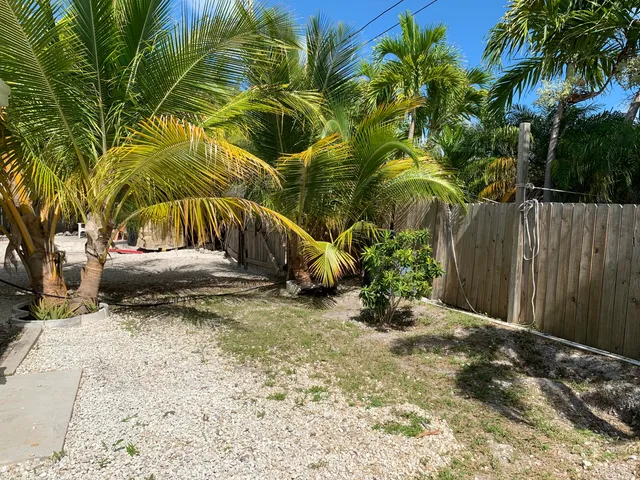 a view of backyard with tree