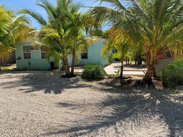 a view of a park with plants and trees