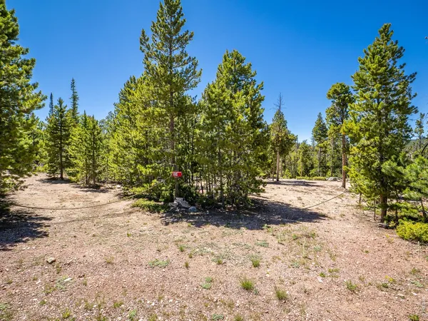 $87,500 | 231 Nanticoke Court, Red Feather Lakes, CO 80545