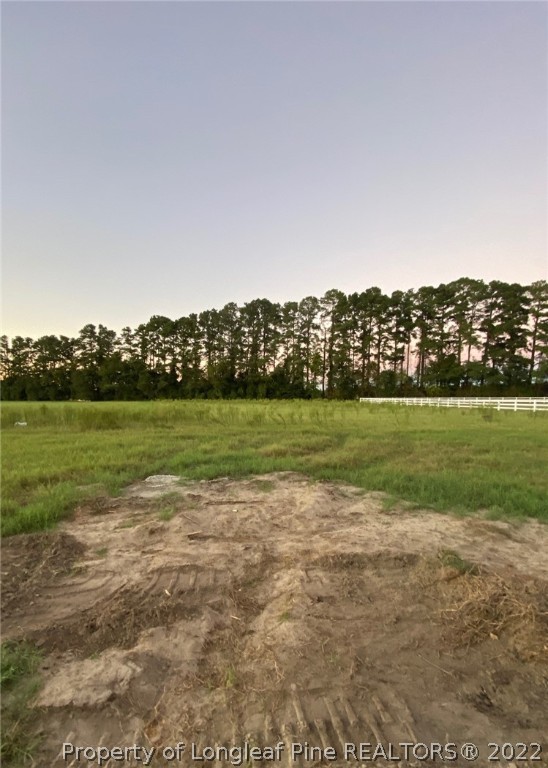 6291 New Hope Church Road Wade, NC 28395 - Photo 12 of 12 Gallery Image 12