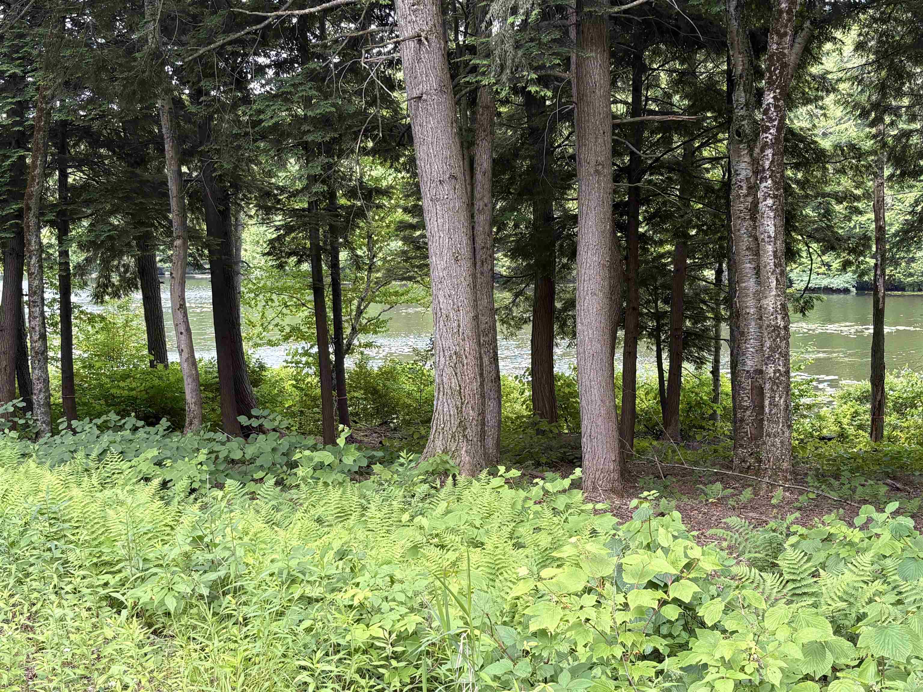 340 Tyanoga Road Whitingham, VT 05361 - Photo 4 of 5