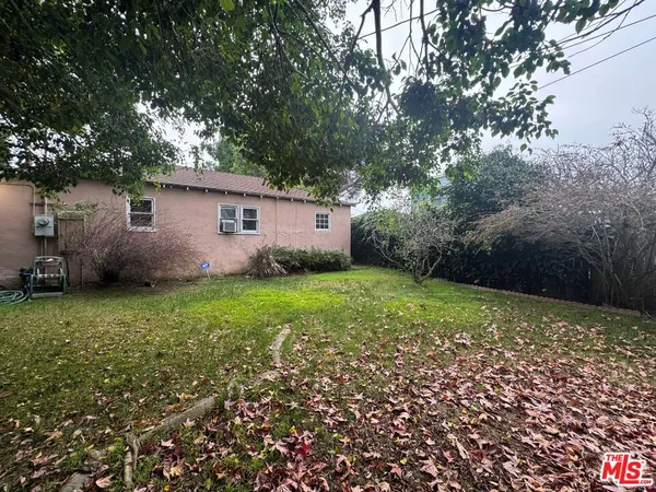 a view of a backyard with plants and large trees
