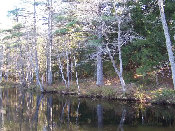$175,000 | 0 Scott Pond Road, Fitzwilliam, NH 03447