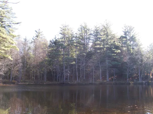 $175,000 | 0 Scott Pond Road, Fitzwilliam, NH 03447