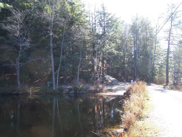 $175,000 | 0 Scott Pond Road, Fitzwilliam, NH 03447