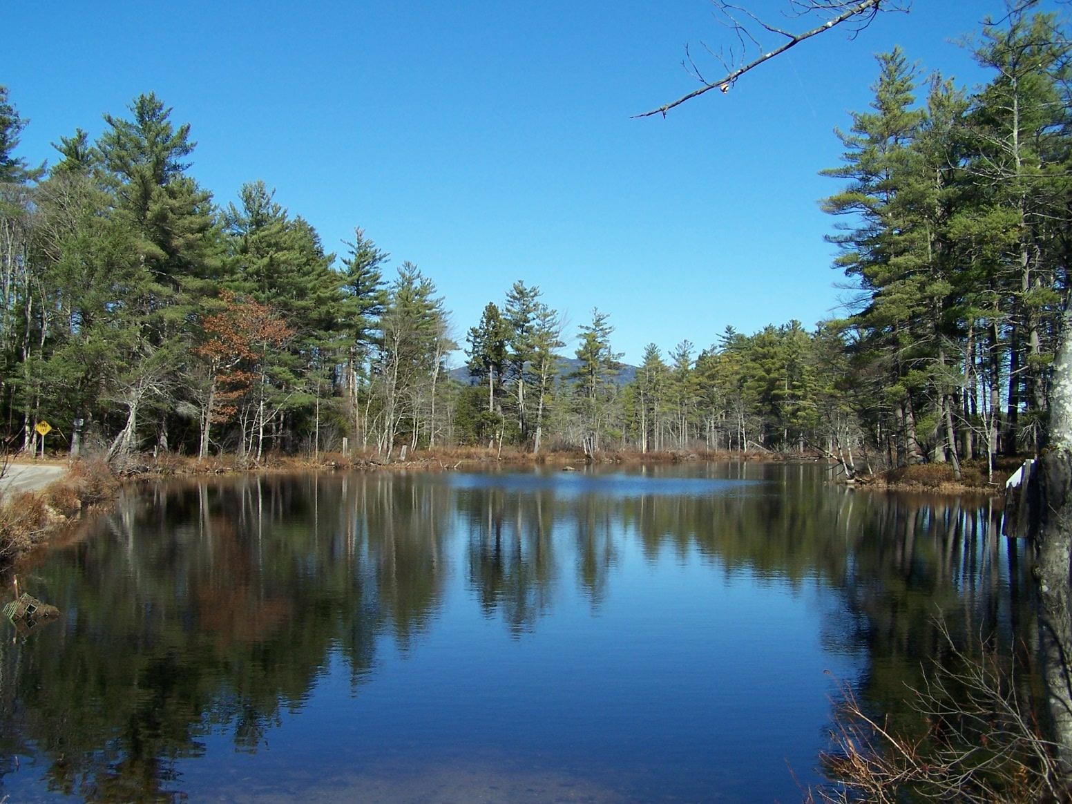 0 Scott Pond Road Fitzwilliam, NH 03447 - Photo 4 of 10