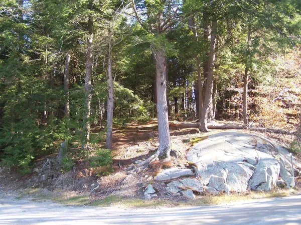 $175,000 | 0 Scott Pond Road, Fitzwilliam, NH 03447
