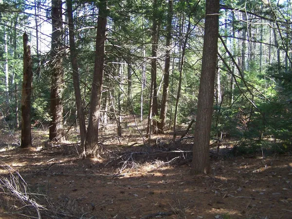 $175,000 | 0 Scott Pond Road, Fitzwilliam, NH 03447