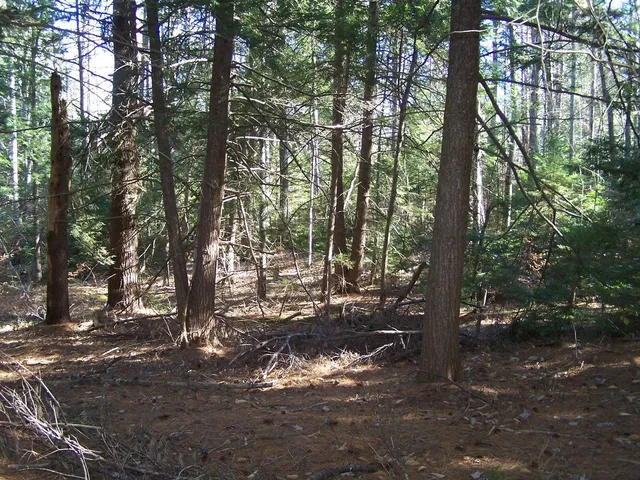 $175,000 | 0 Scott Pond Road, Fitzwilliam, NH 03447