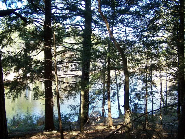 $175,000 | 0 Scott Pond Road, Fitzwilliam, NH 03447