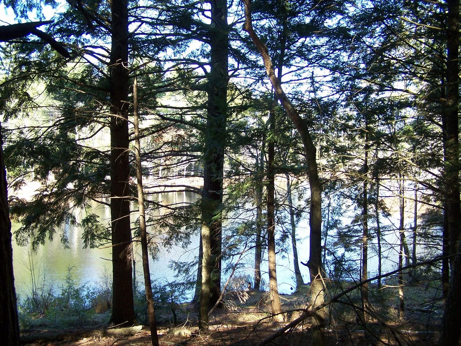 0 Scott Pond Road Fitzwilliam, NH 03447 - Photo 9 of 10