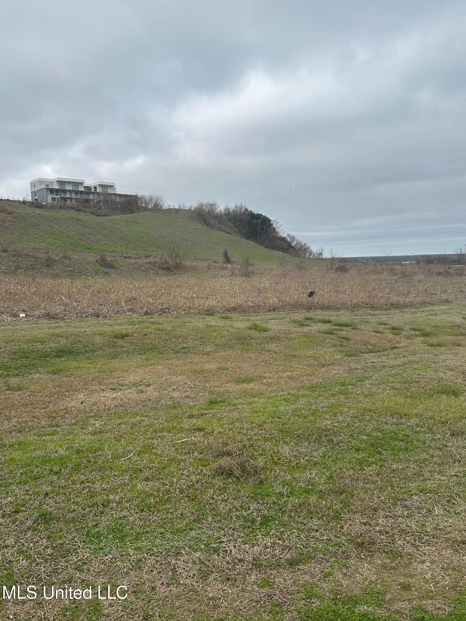 0 John R Junkin Drive Natchez, MS 39120 - Photo 4 of 4 IMG_2025