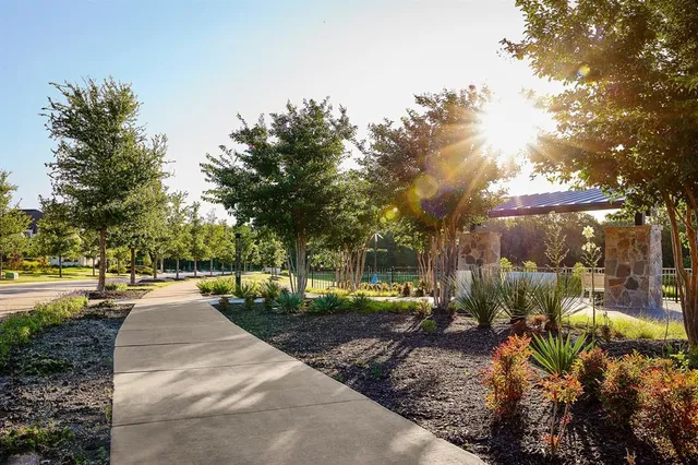 a view of a park with plants and trees