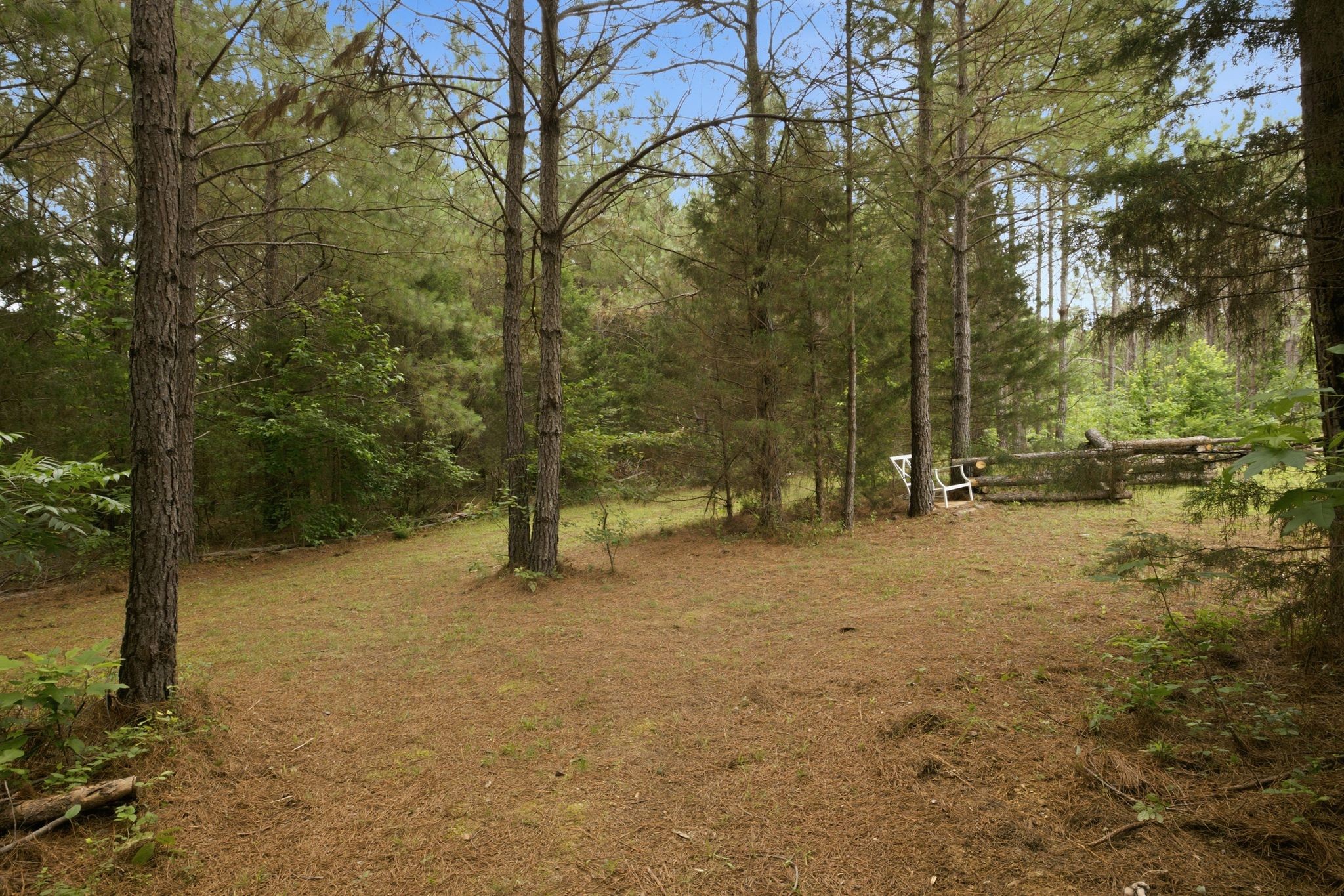1405 Trace Creek Road Hohenwald, TN 38462 - Photo 39 of 52