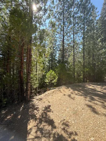 $150,000 | Kangaroo Creek Road, Gazelle, CA 96034