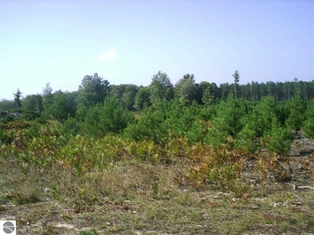 Off Off Keffer Road Felch, MI 49831 - Photo 7 of 9 1790707-6.JPG