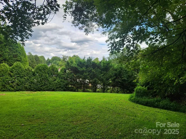 a view of garden with trees