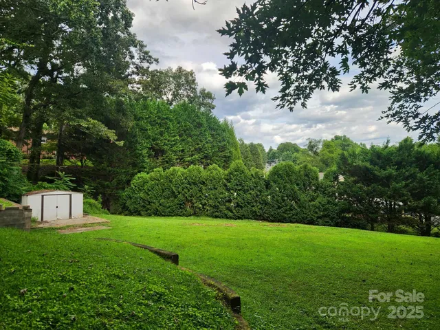 a view of a garden from a bench