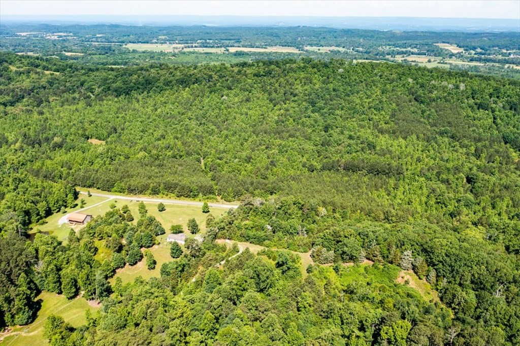 711 Redman Lane Decatur, TN 37322 - Photo 24 of 33 an aerial view of residential houses with outdoor space and trees
