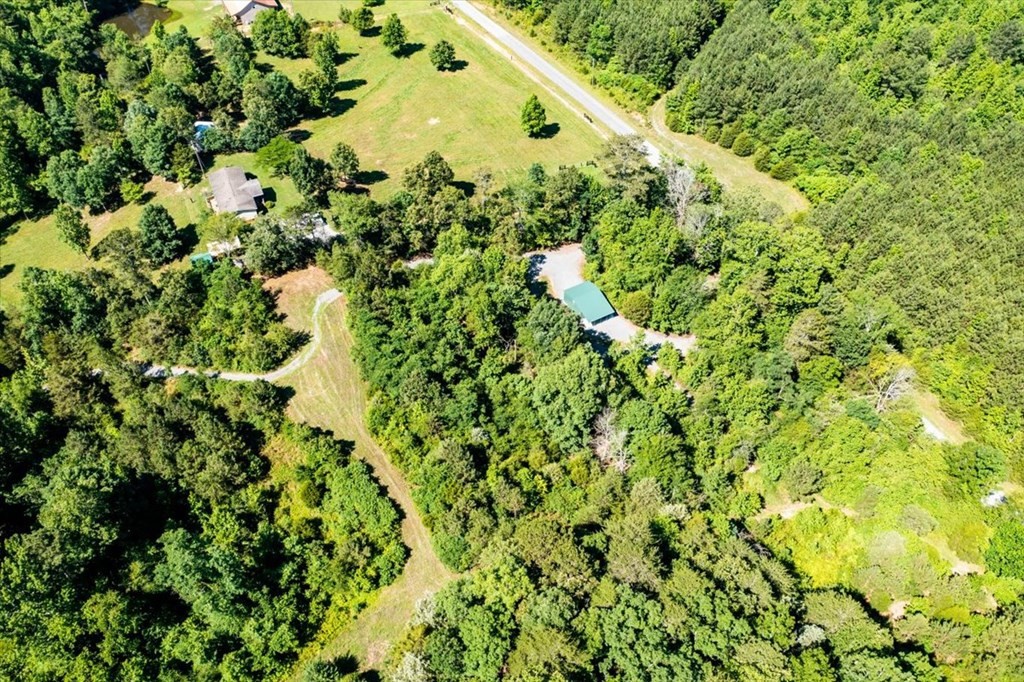 711 Redman Lane Decatur, TN 37322 - Photo 25 of 33 a view of a large yard with lots of bushes