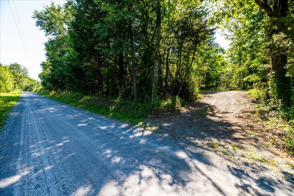 711 Redman Lane Decatur, TN 37322 - Photo 26 of 33 a view of a dirt road with trees in the background