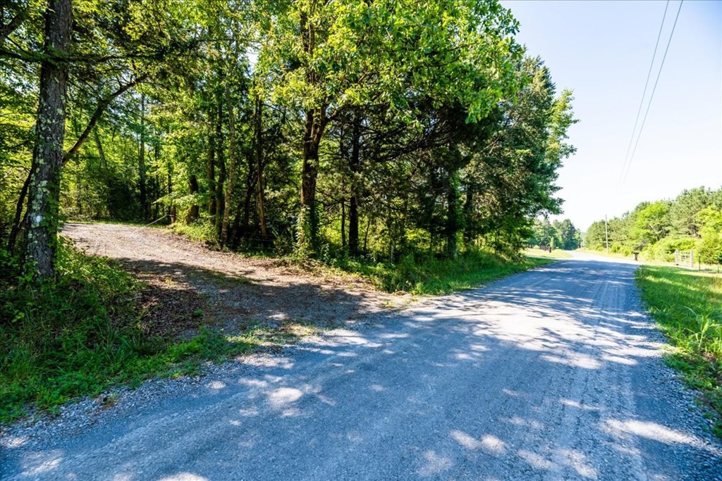711 Redman Lane Decatur, TN 37322 - Photo 27 of 33 a view of backyard with green space