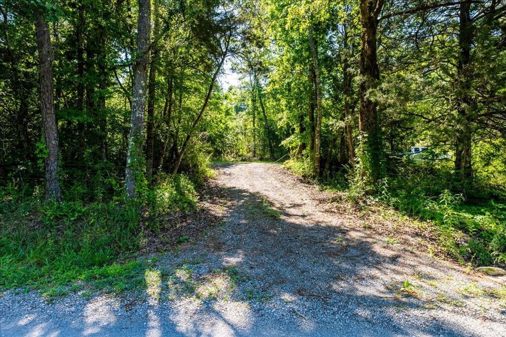 711 Redman Lane Decatur, TN 37322 - Photo 28 of 33 a view of dirt road with trees in the background