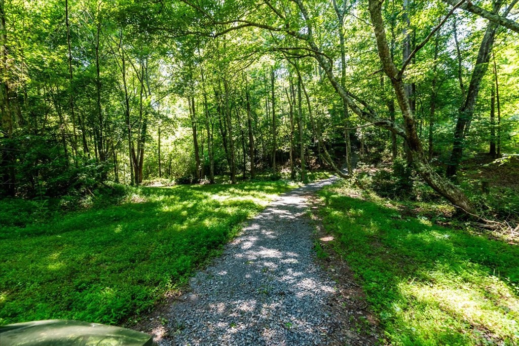 711 Redman Lane Decatur, TN 37322 - Photo 29 of 33 a big yard with lots of green space and deers