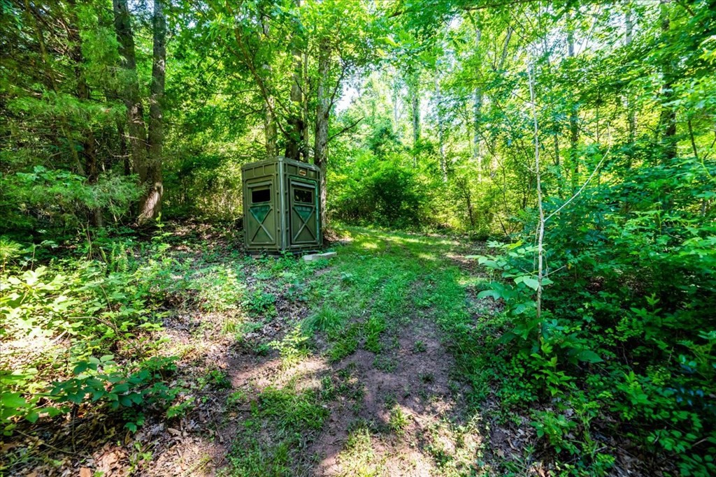 711 Redman Lane Decatur, TN 37322 - Photo 30 of 33 a view of a garden
